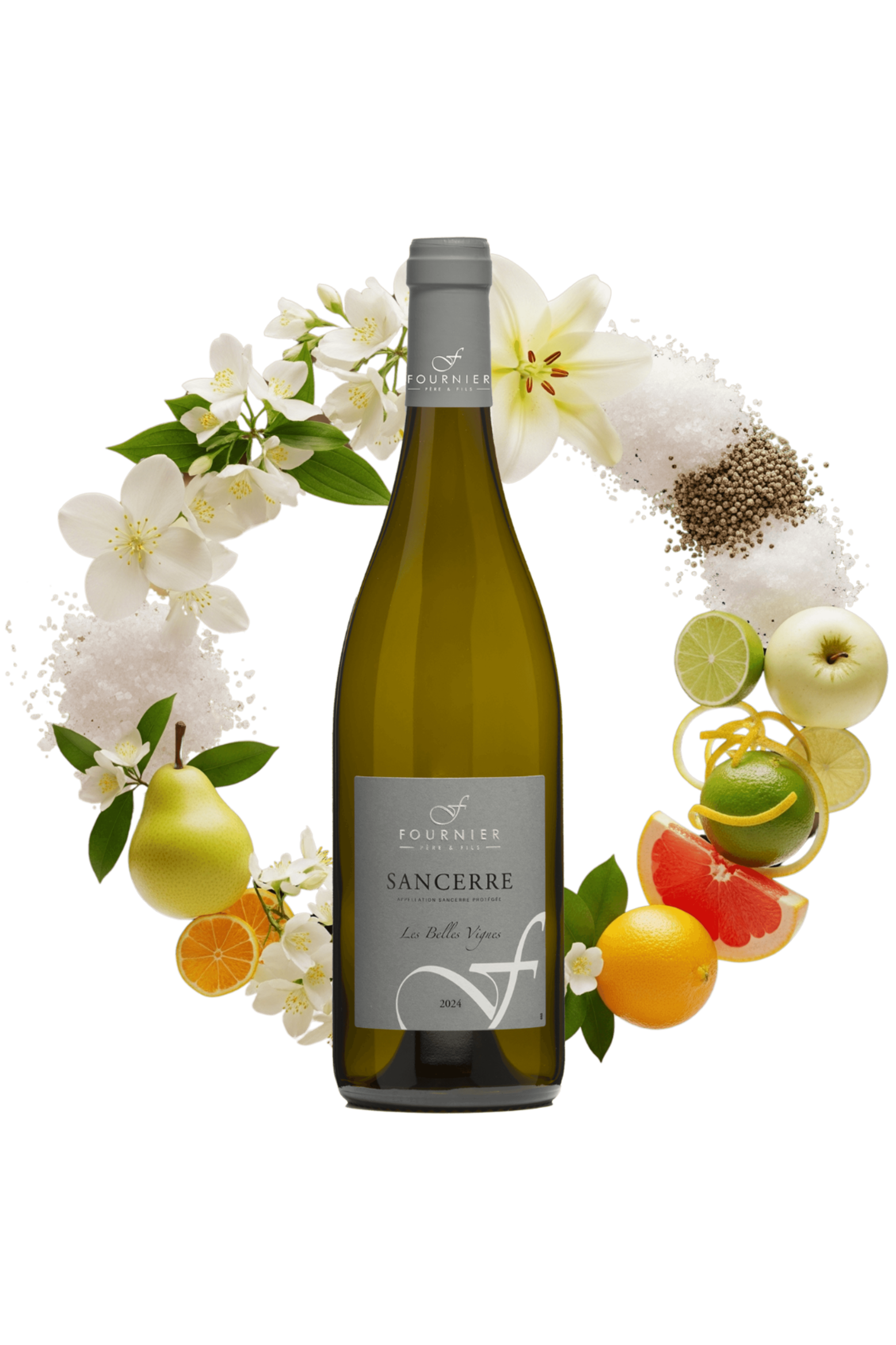 Sancerre Les Belles Vignes Fournier Père et Fils 2024 - frontbs