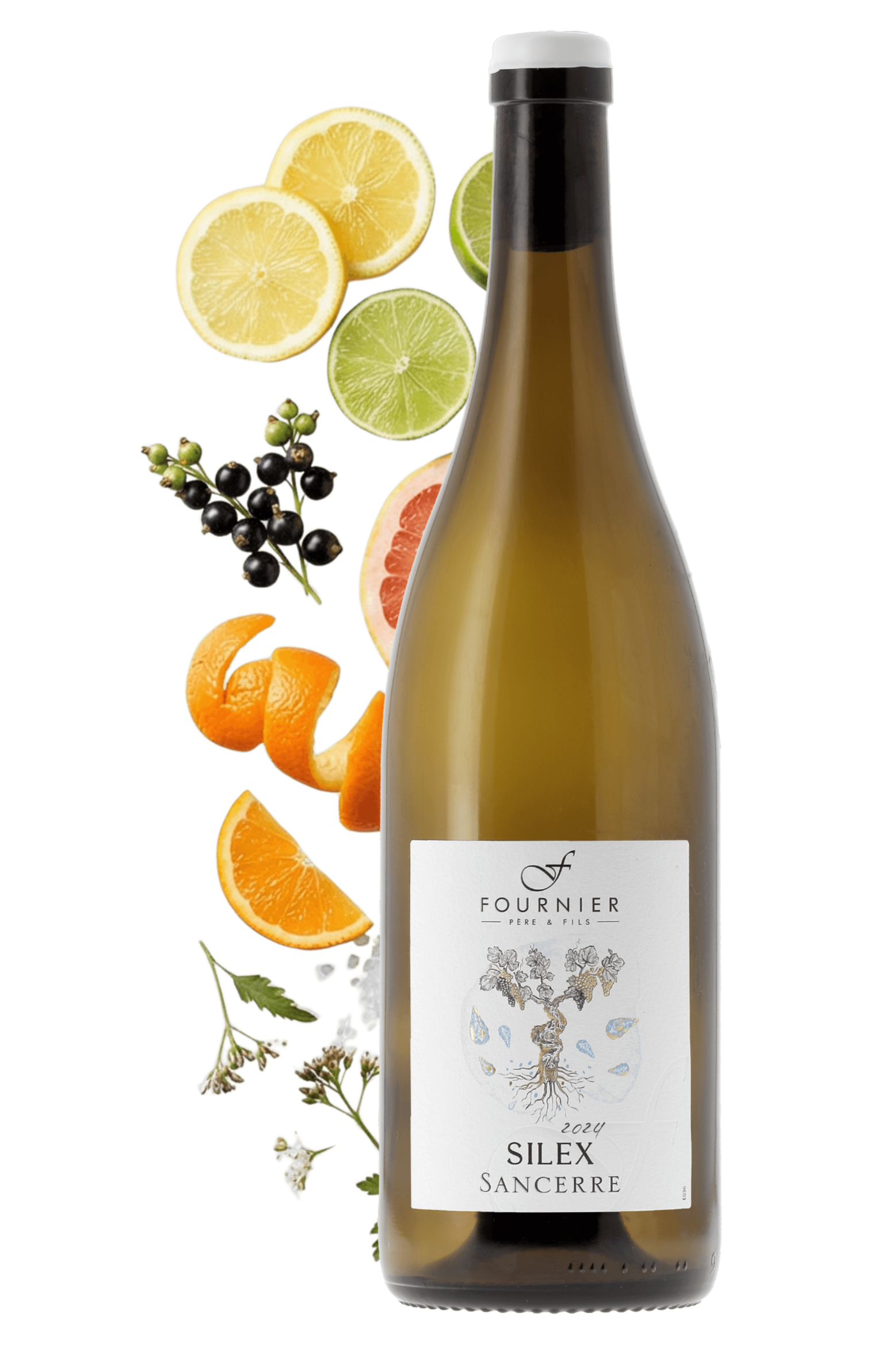 Sancerre Silex Fournier Père et Fils 2024 - frontbs