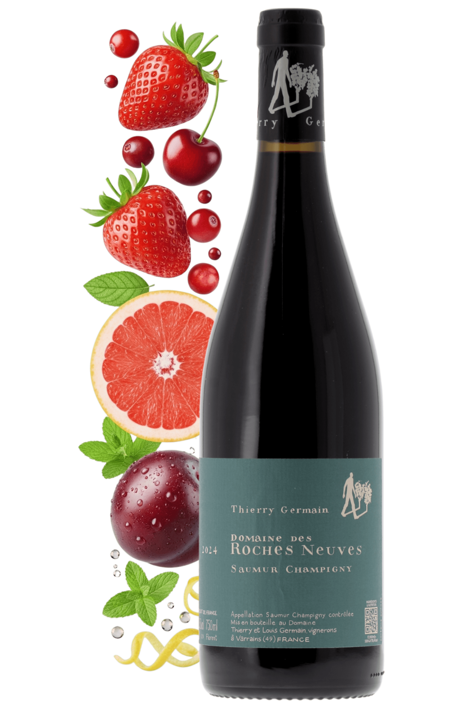 Saumur-Champigny Domaine des Roches Neuves 2024 - frontbs