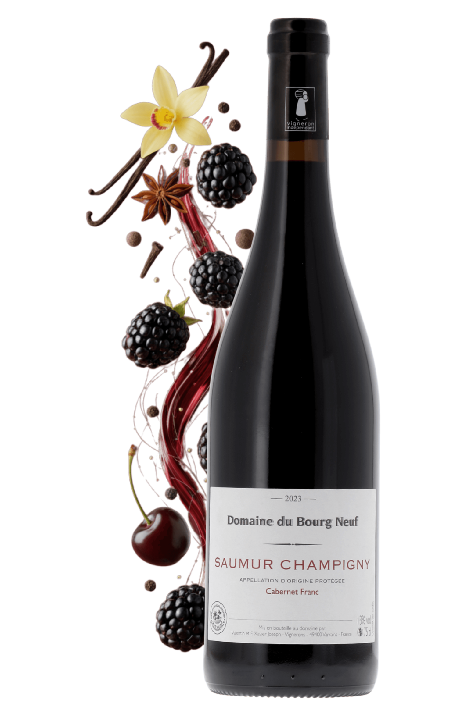 Saumur-Champigny Domaine du Bourg-Neuf 2023 - frontbs