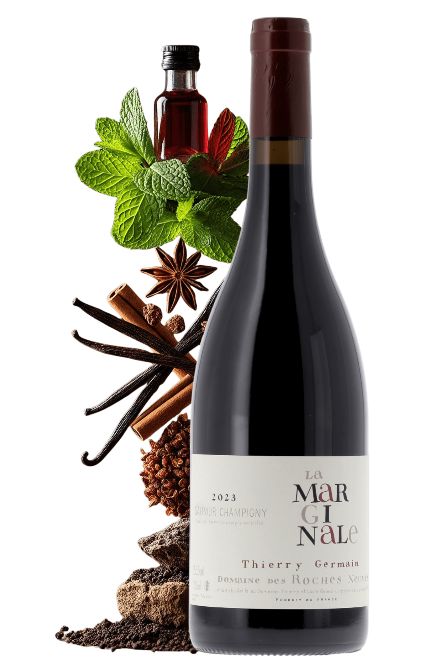 Saumur-Champigny La Marginale Domaine des Roches Neuves 2023 - frontbs