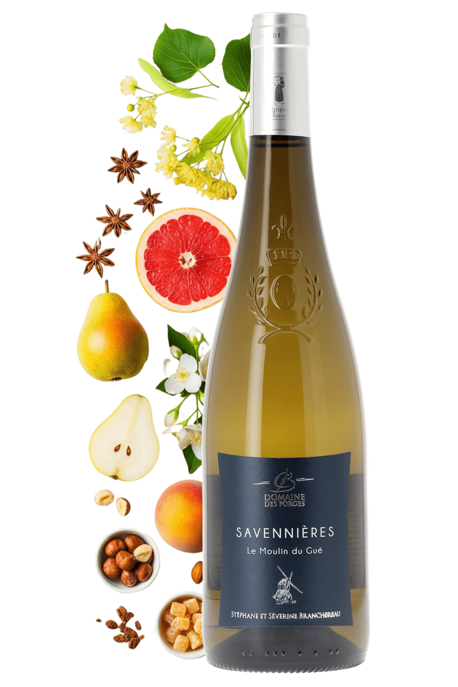 Savennières Le Moulin du Gué Domaine des Forges 2022 - frontbs