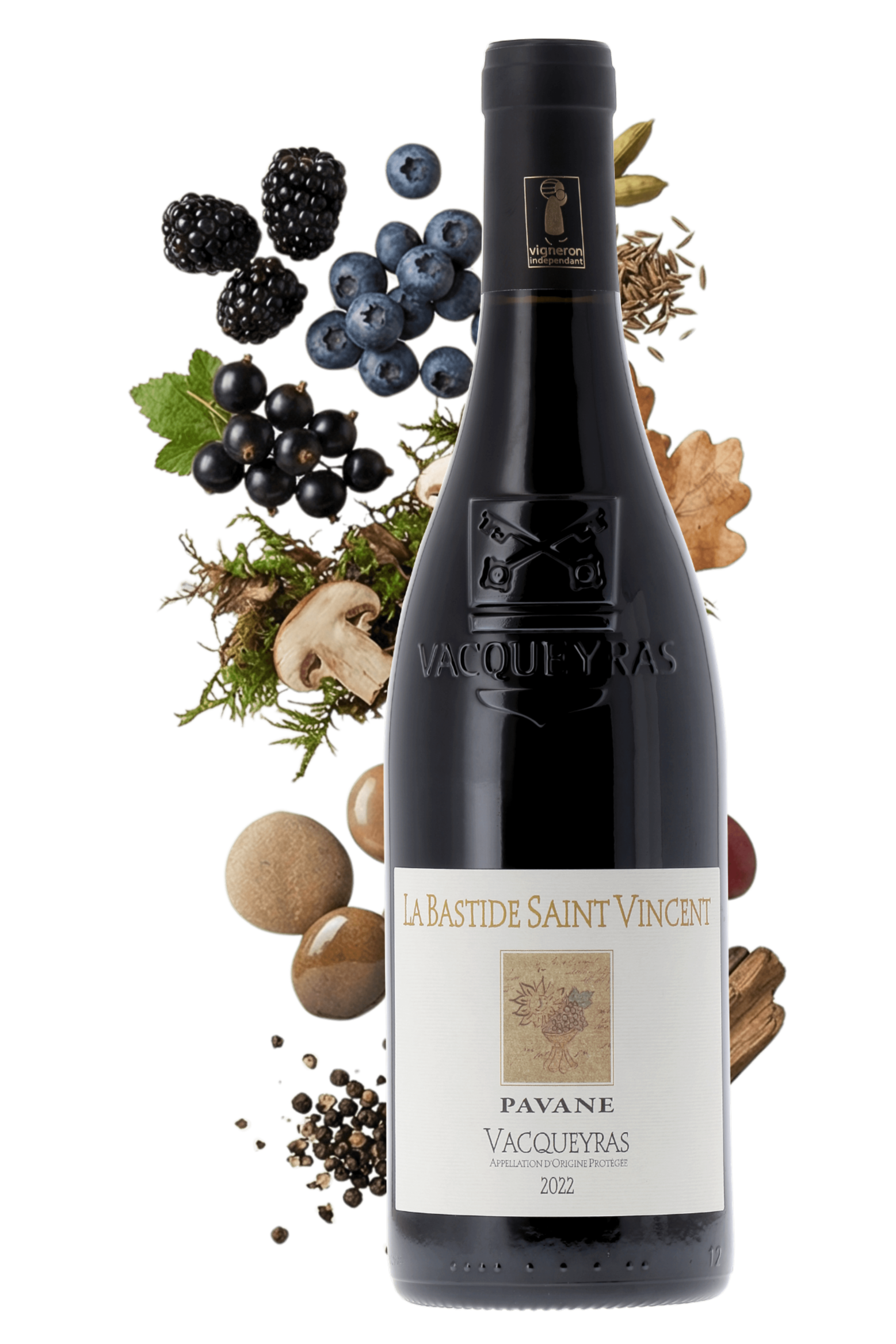 Vacqueyras Pavane La Bastide Saint Vincent 2022 - frontbs