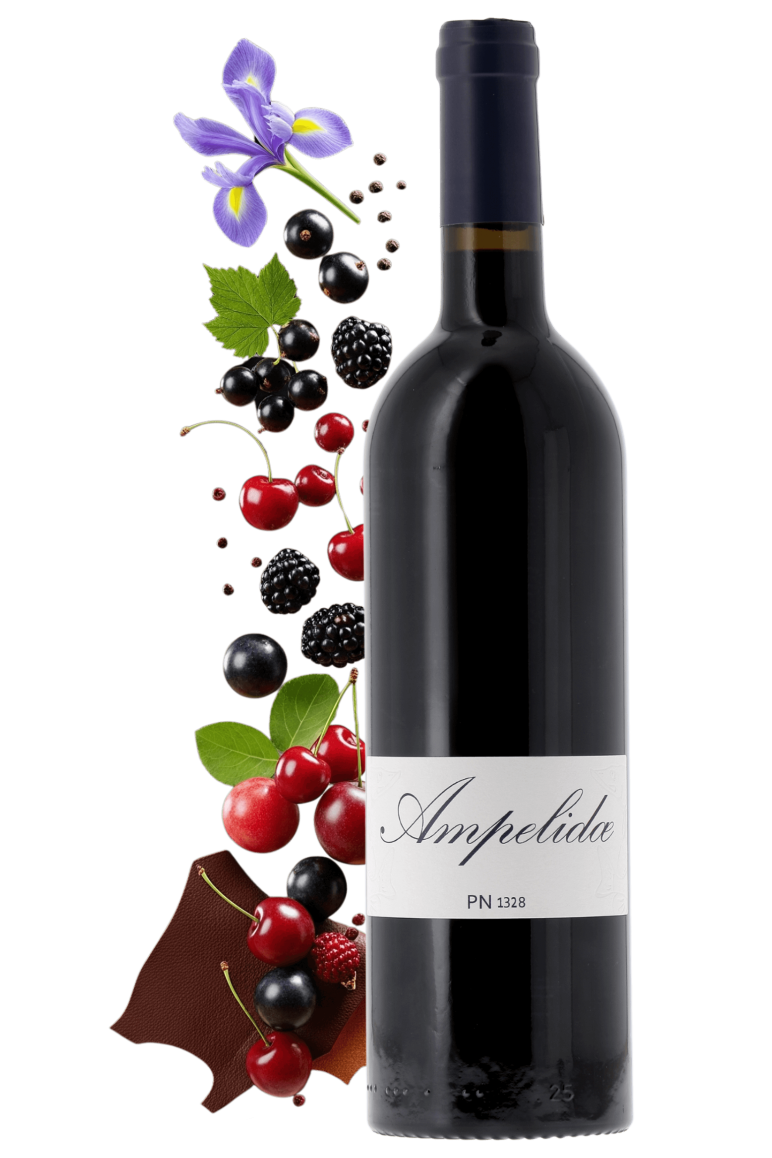 Val de Loire PN 1328 AMPELIDAE - frontbs