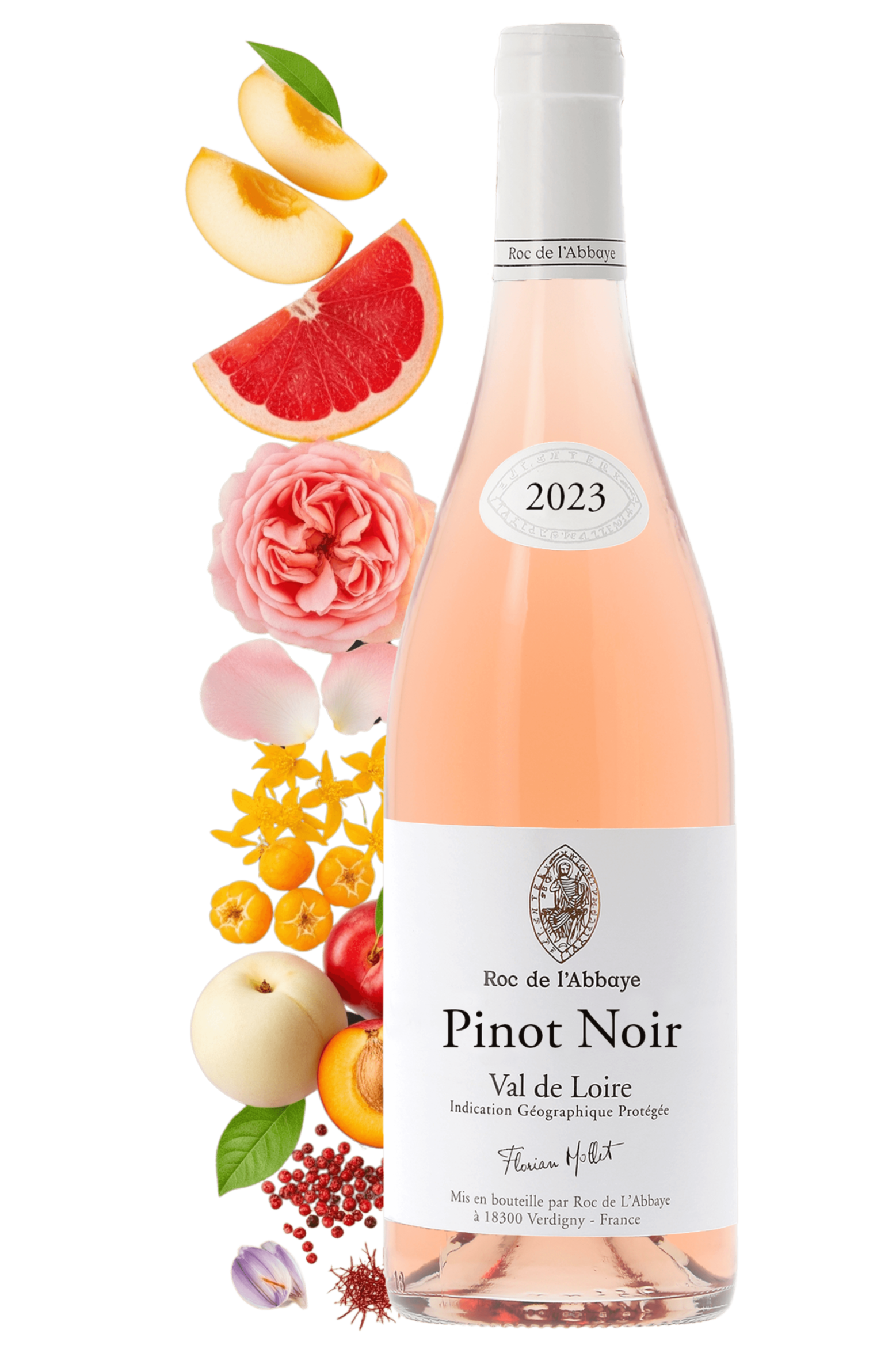 Val de Loire Roc de l'Abbaye 2023 - frontbs