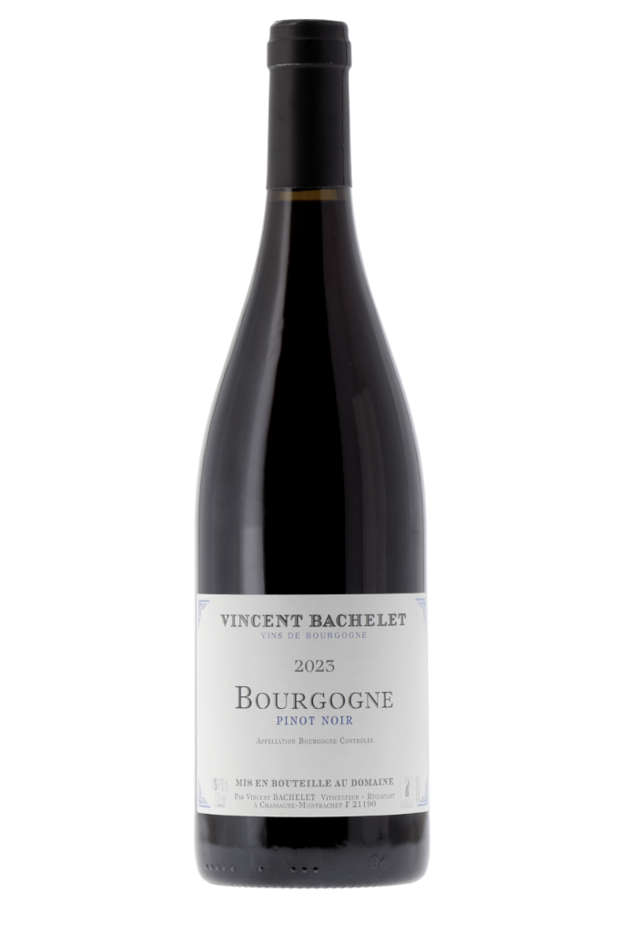 Bourgogne Domaine Vincent Bachelet 2023 - frontbs