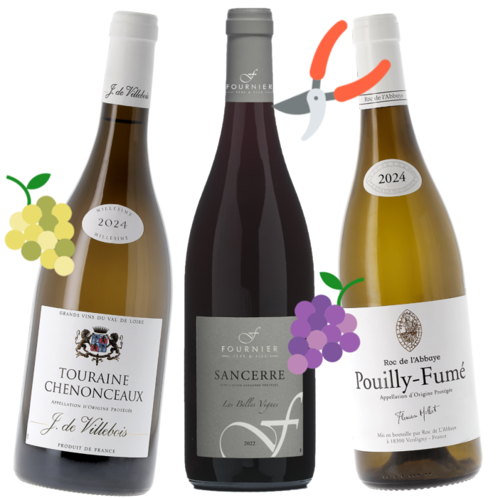 Coffret Vendanges 2025