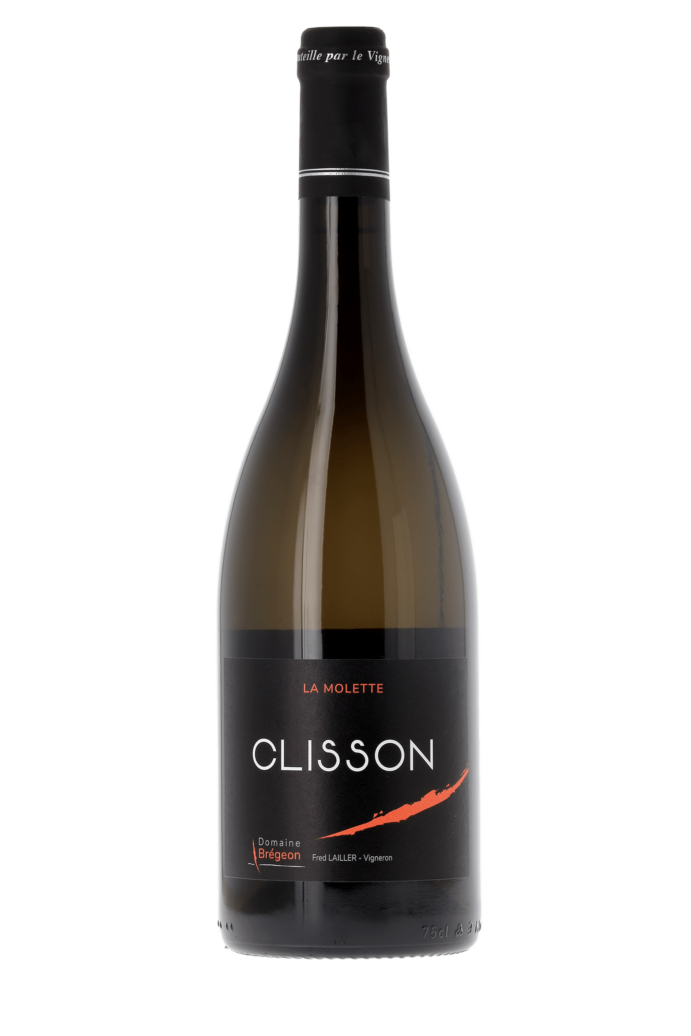 Muscadet Sèvre et Maine Clisson La Molette Domaine Brégeon 2019 - frontbs