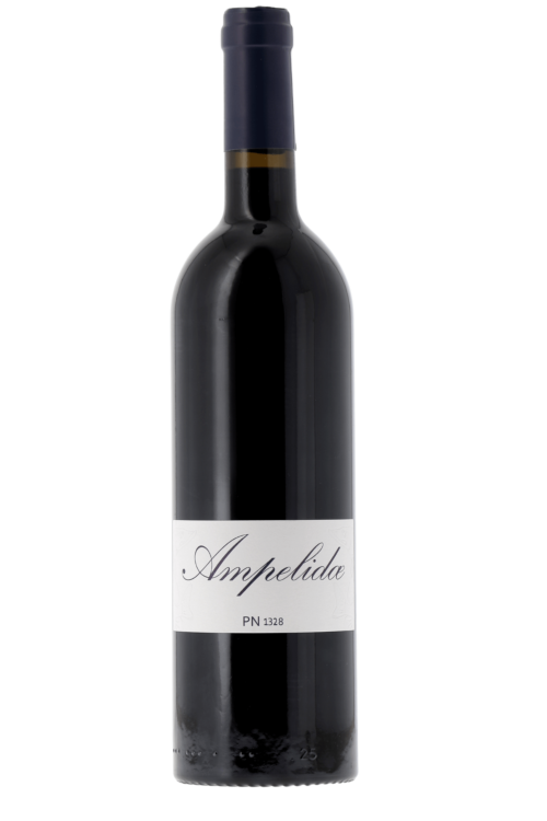 Val de Loire PN 1328 AMPELIDAE - frontbs