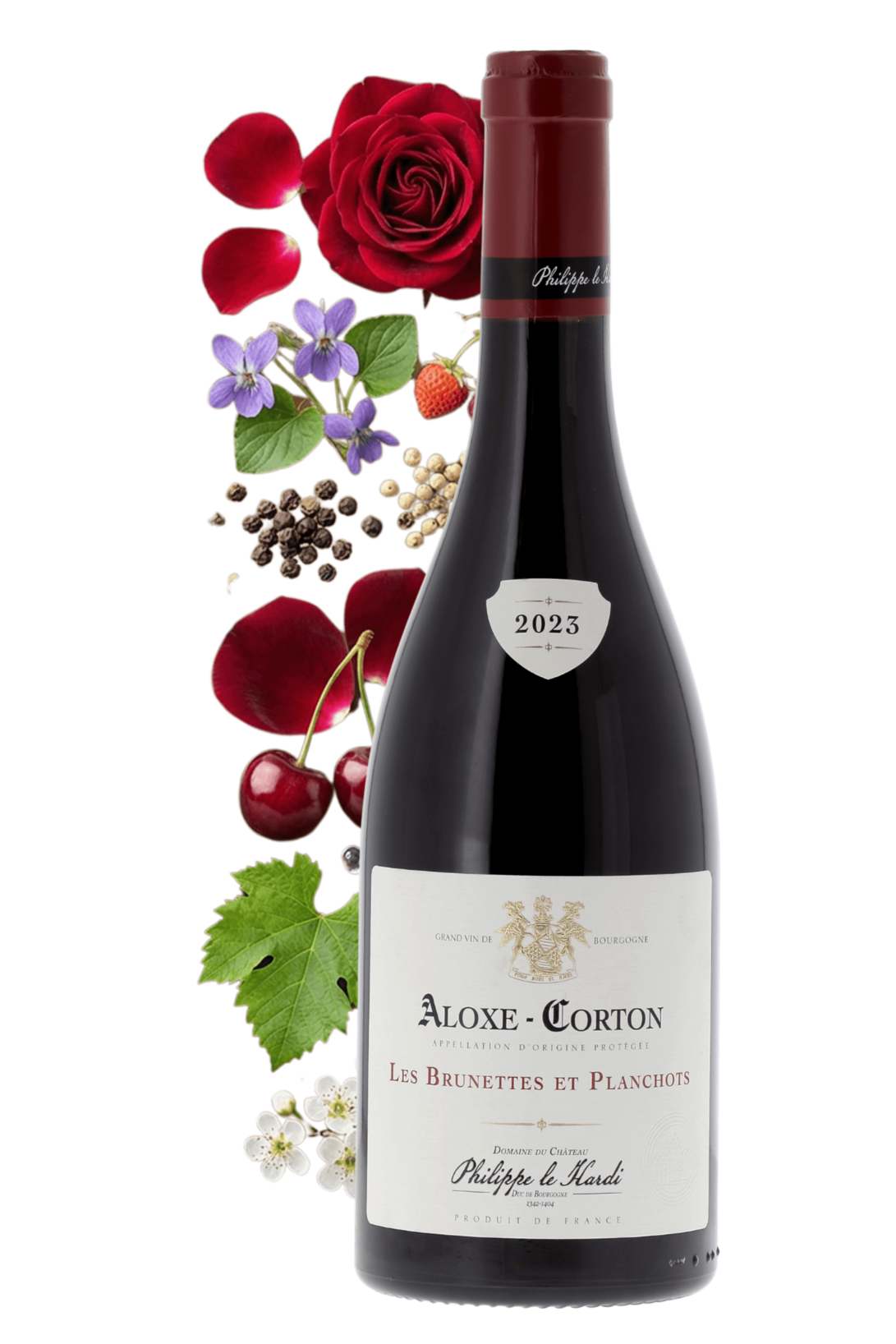 Aloxe-Corton Les Brunettes et Planchots Philippe le Hardi 2023 - frontbs