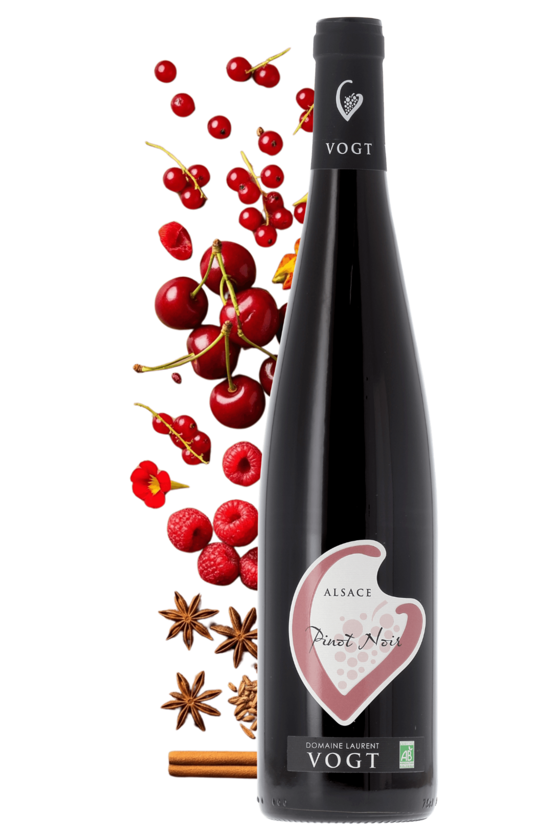 Alsace Domaine Laurent Vogt 2024 - frontbs