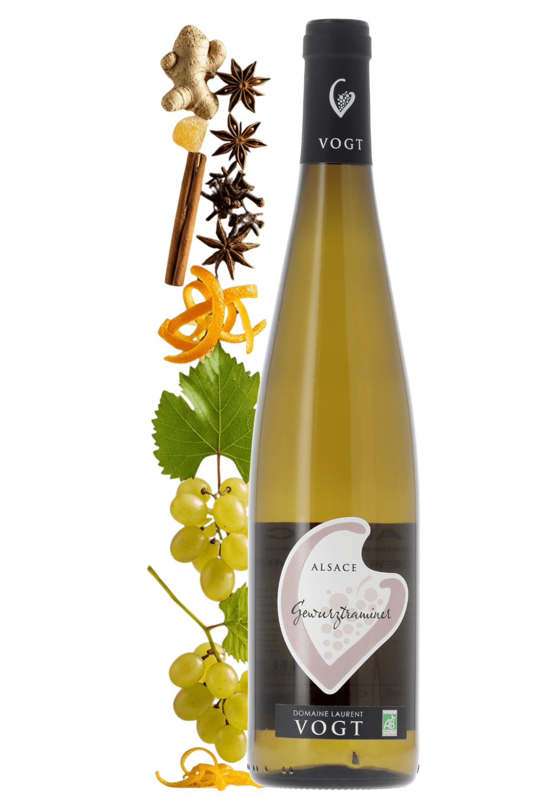Alsace Gewurztraminer Domaine Laurent Vogt 2023 - frontbs
