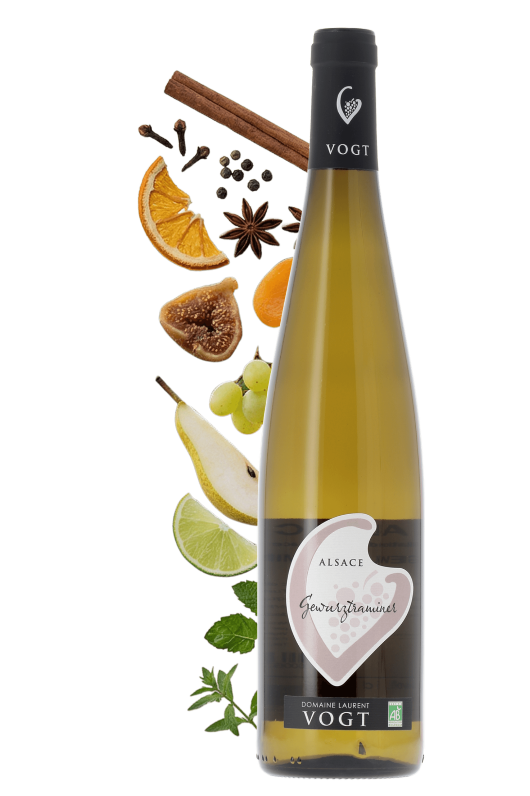 Alsace Gewurztraminer Domaine Laurent Vogt 2024 - frontbs