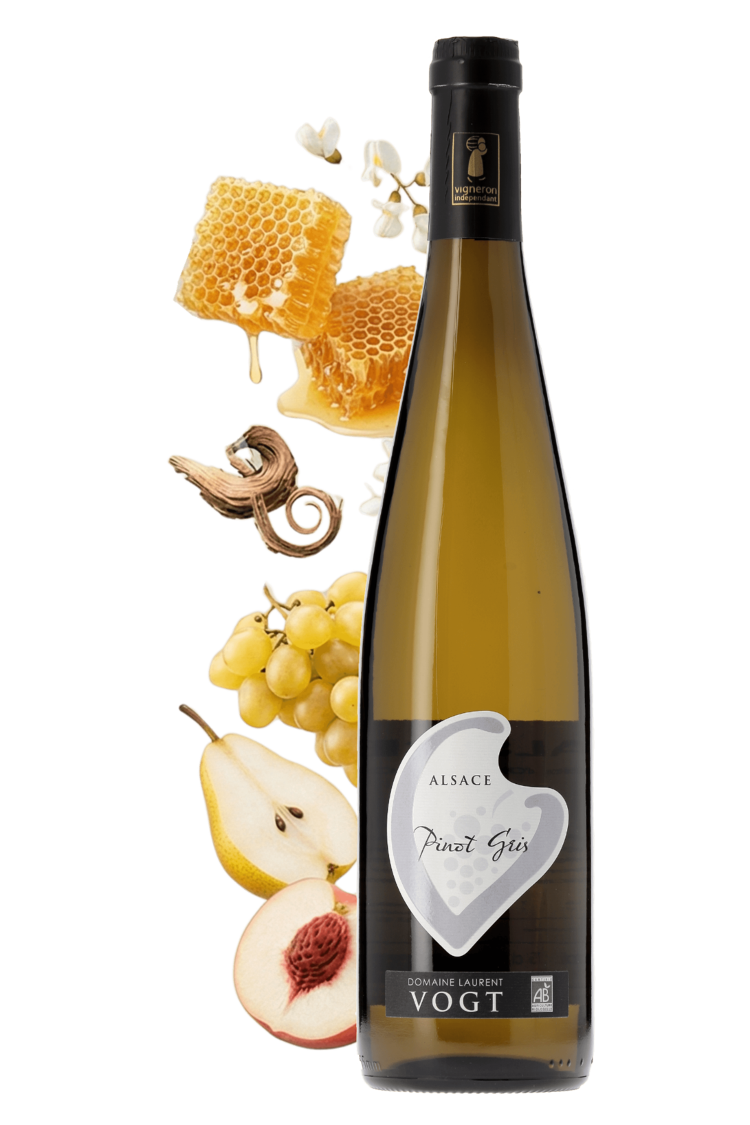 Alsace Pinot Gris Domaine Laurent Vogt 2024 - frontbs