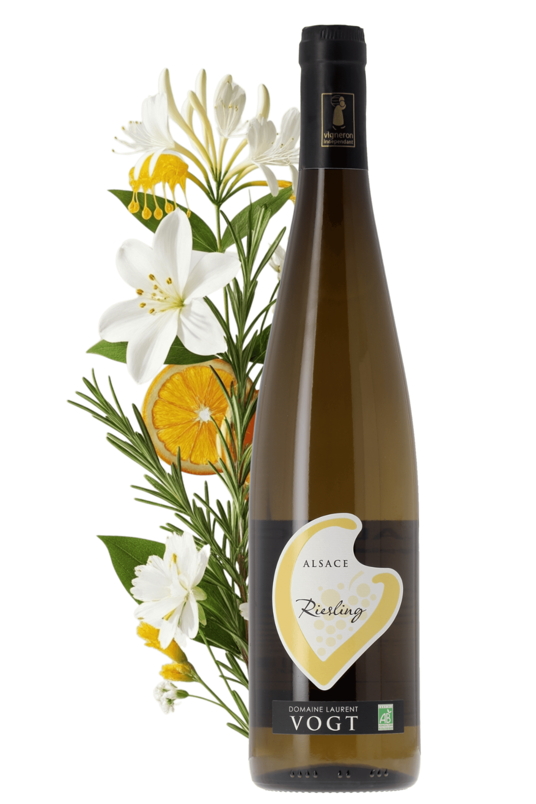 Alsace Riesling Domaine Laurent Vogt 2023 - frontbs