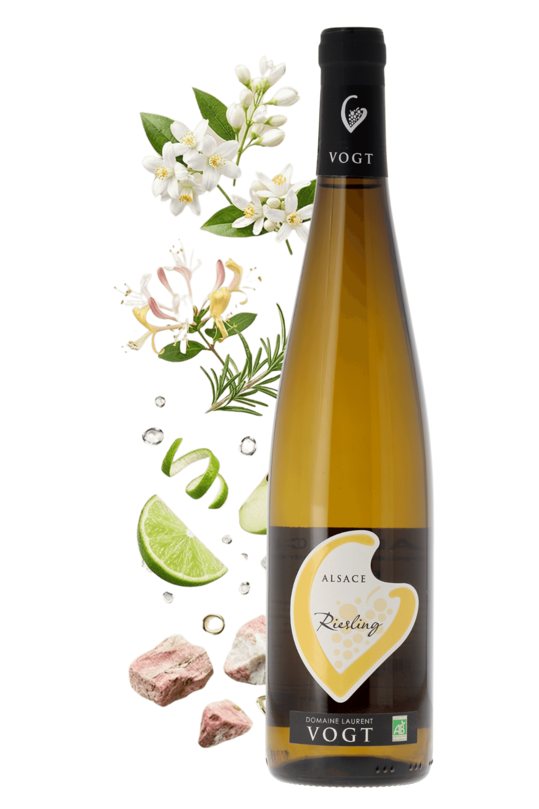 Alsace Riesling Domaine Laurent Vogt 2024 - frontbs