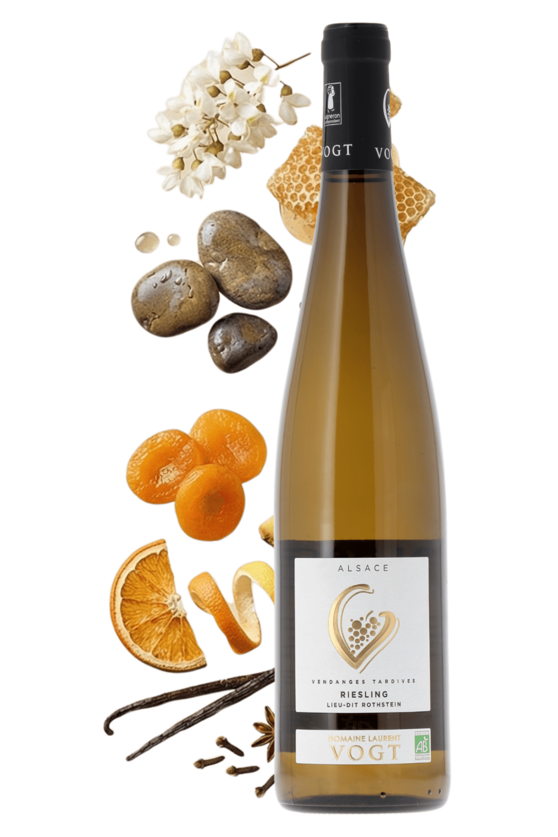 Alsace Riesling Vendanges Tardives Domaine Laurent Vogt - frontbs