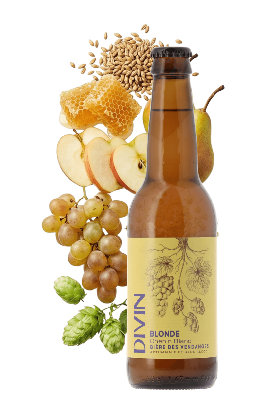 Bière des Vendanges Blonde sans alcool Chenin Blanc Divin 33cl - frontbs