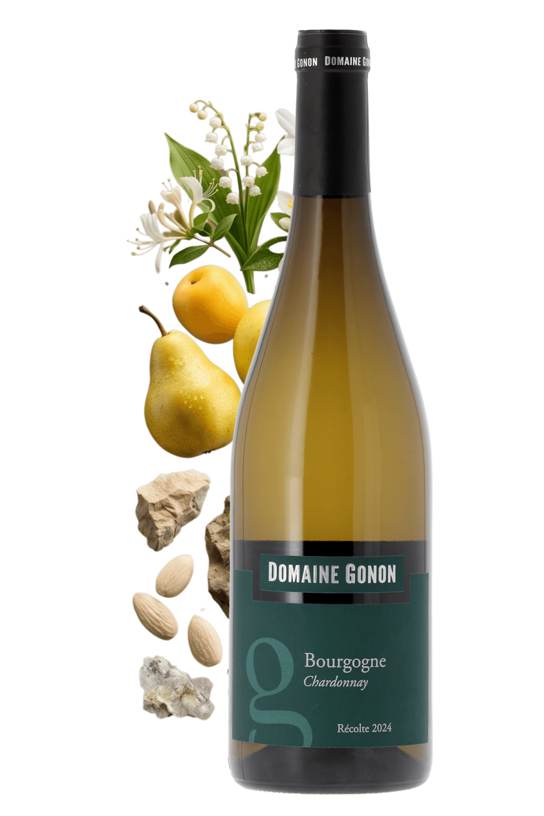Bourgogne Chardonnay Domaine Gonon 2024 - frontbs