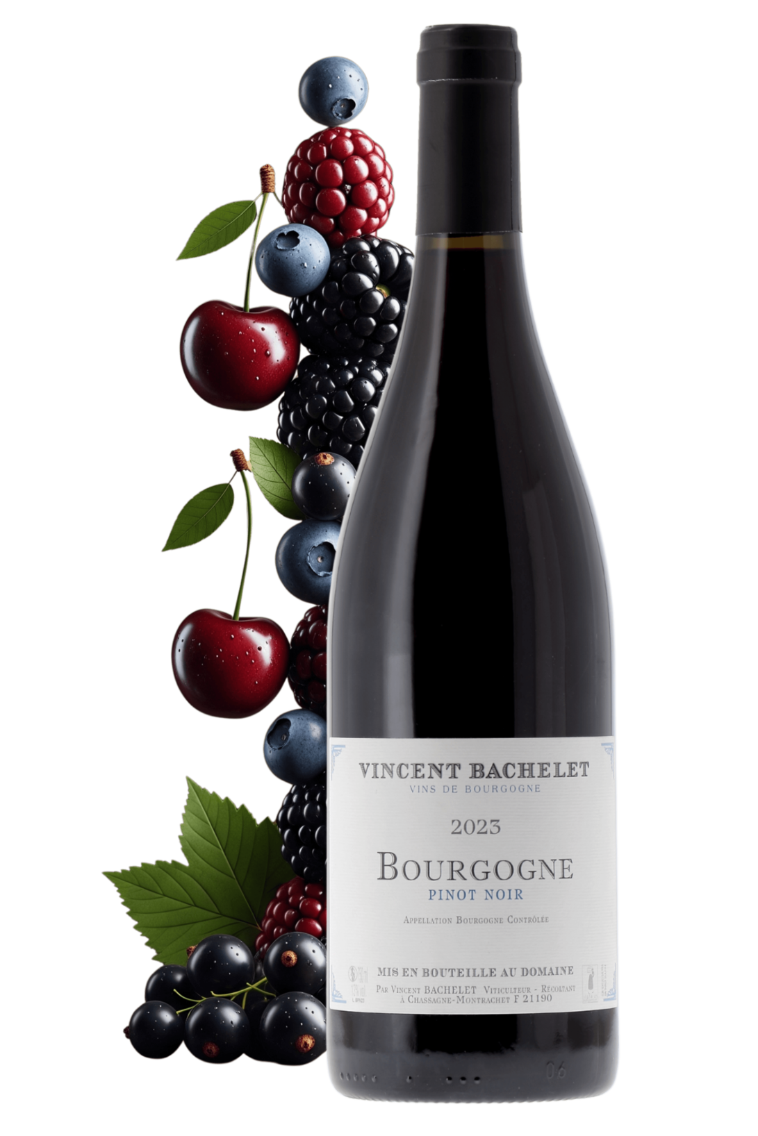 Bourgogne Domaine Vincent Bachelet 2023 - frontbs