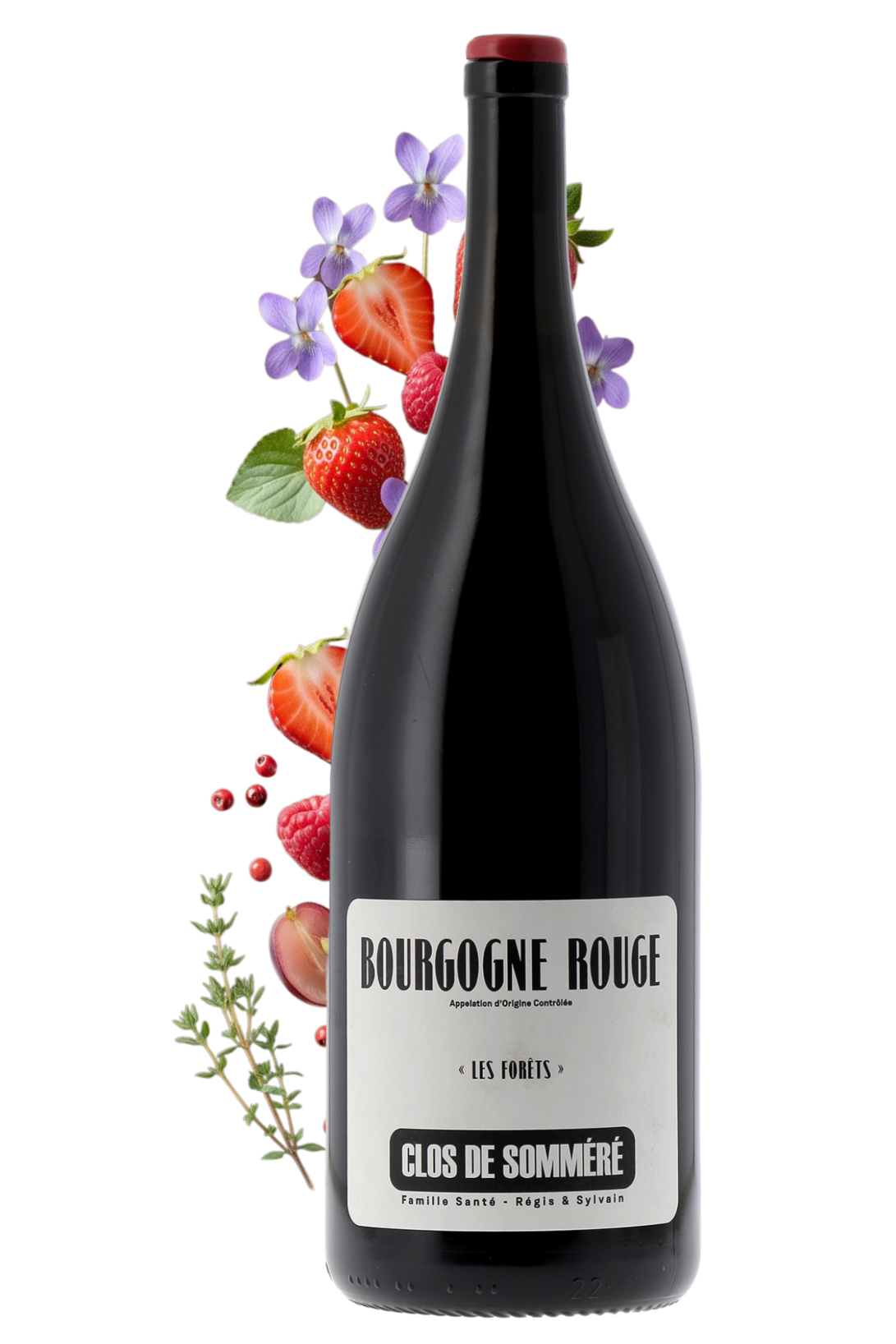 Bourgogne Les Forêts Clos de Somméré 2024 150cl - frontbs