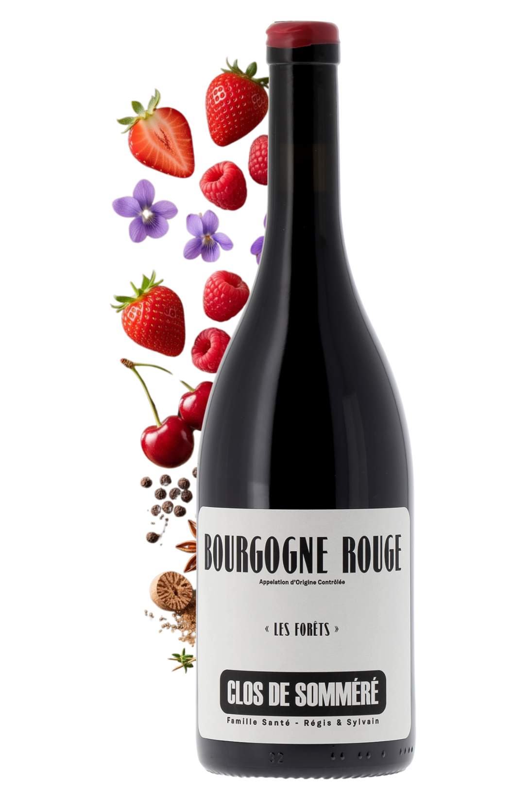 Bourgogne Les Forêts Clos de Somméré 2024 - frontbs