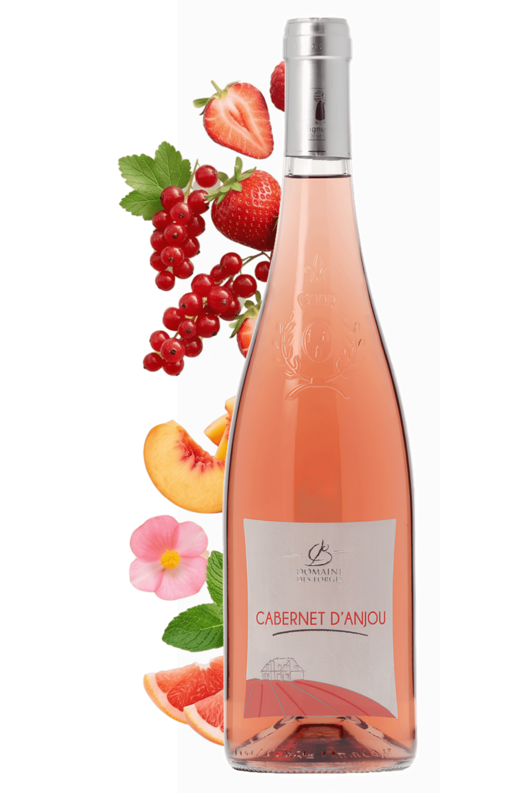Cabernet d'Anjou Domaine des Forges 2025 - frontbs