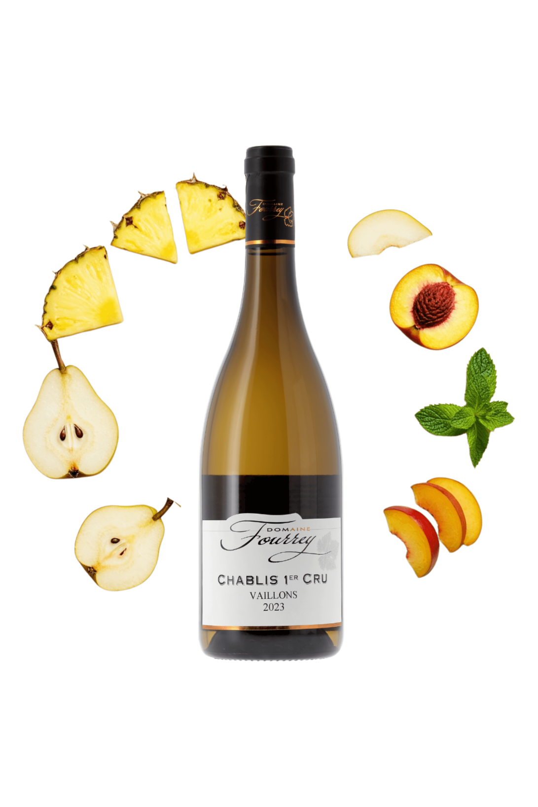 Chablis Premier Cru Vaillons Domaine Fourrey 2023 - frontbs