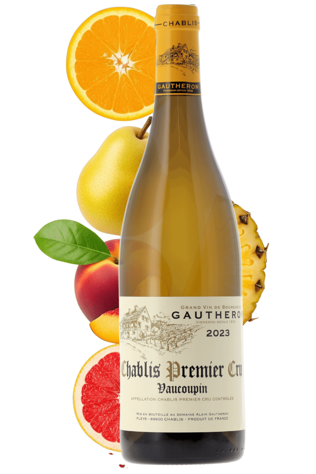 Chablis Premier Cru Vaucoupin Domaine Gautheron 2023 - frontbs