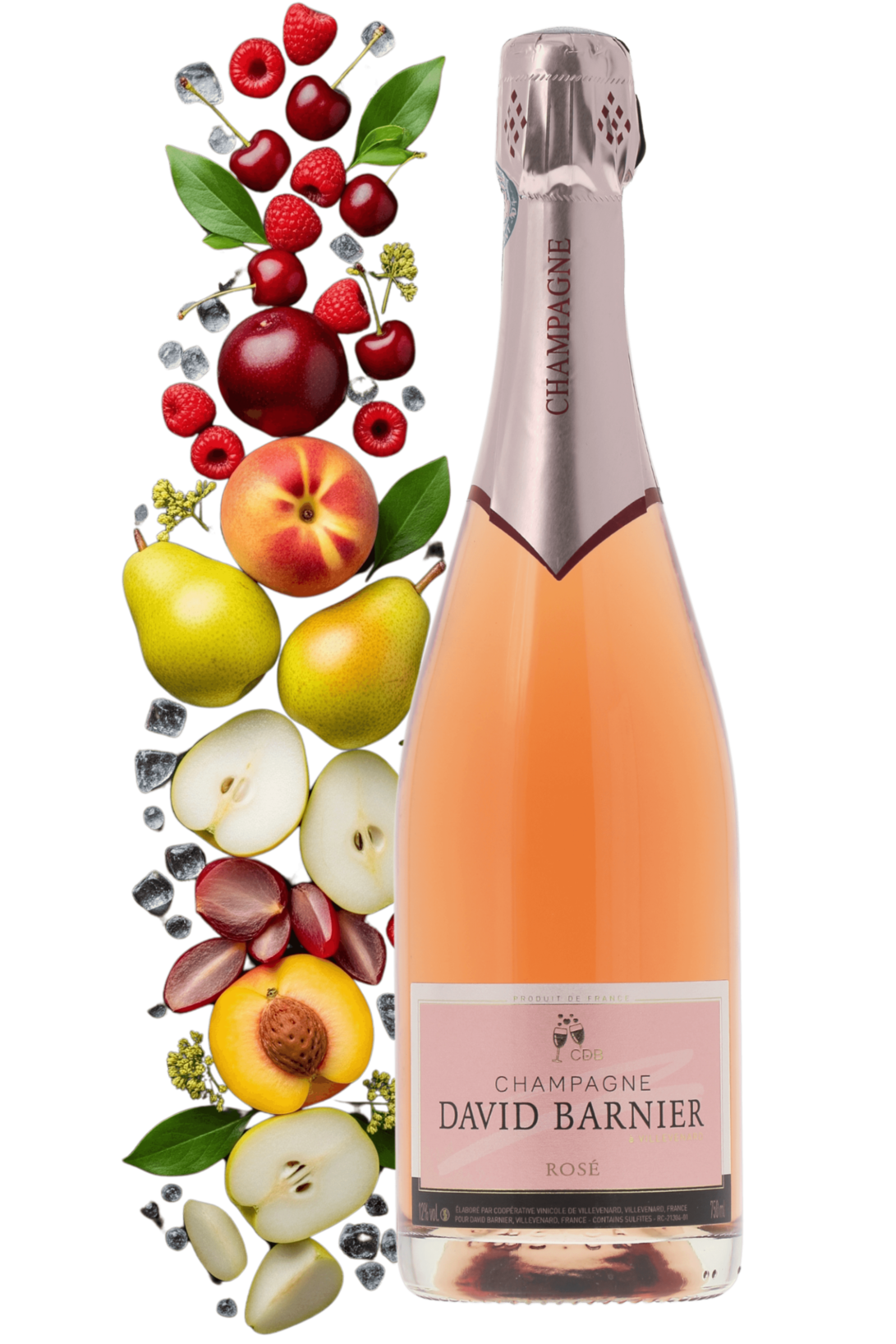 Champagne Champagne David Barnier NM - frontbs