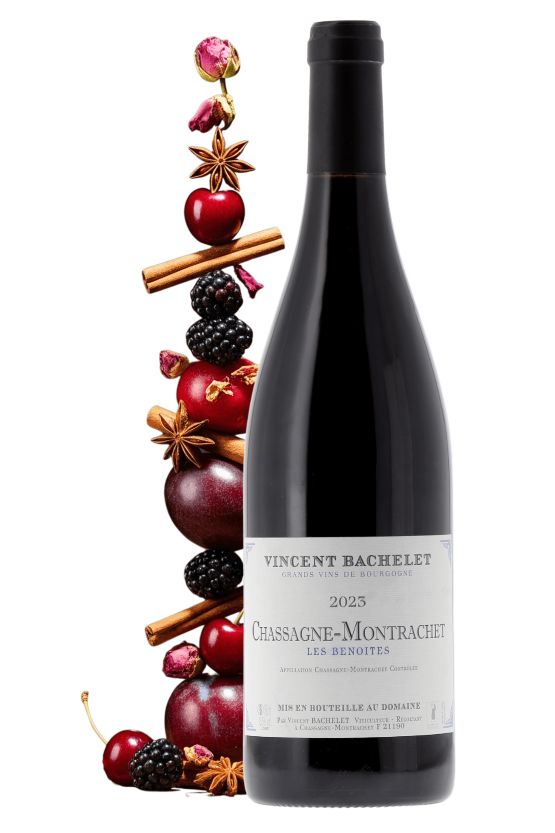 Chassagne-Montrachet Les Benoites Domaine Vincent Bachelet 2023 - frontbs