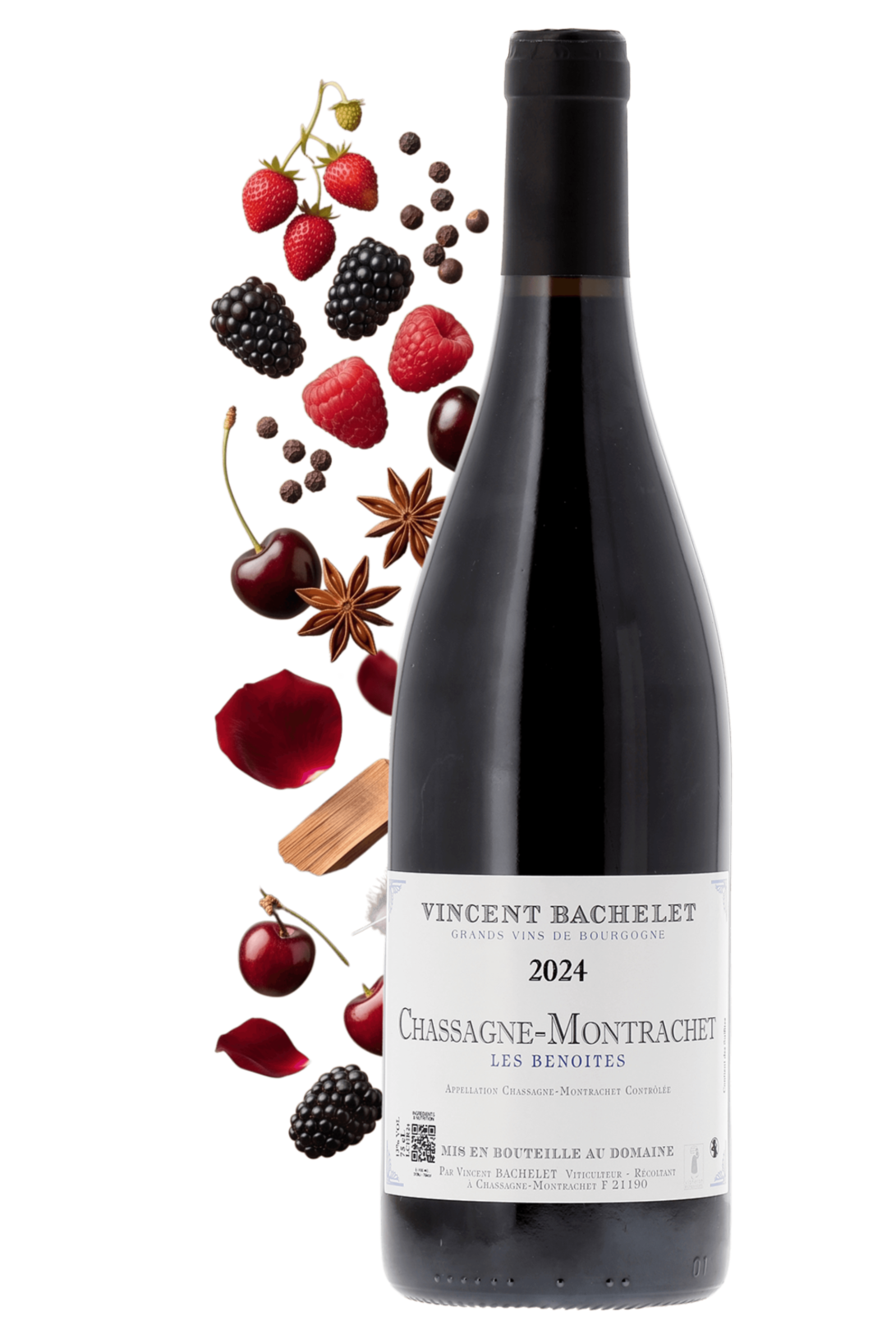 Chassagne-Montrachet Les Benoites Domaine Vincent Bachelet 2024 - frontbs