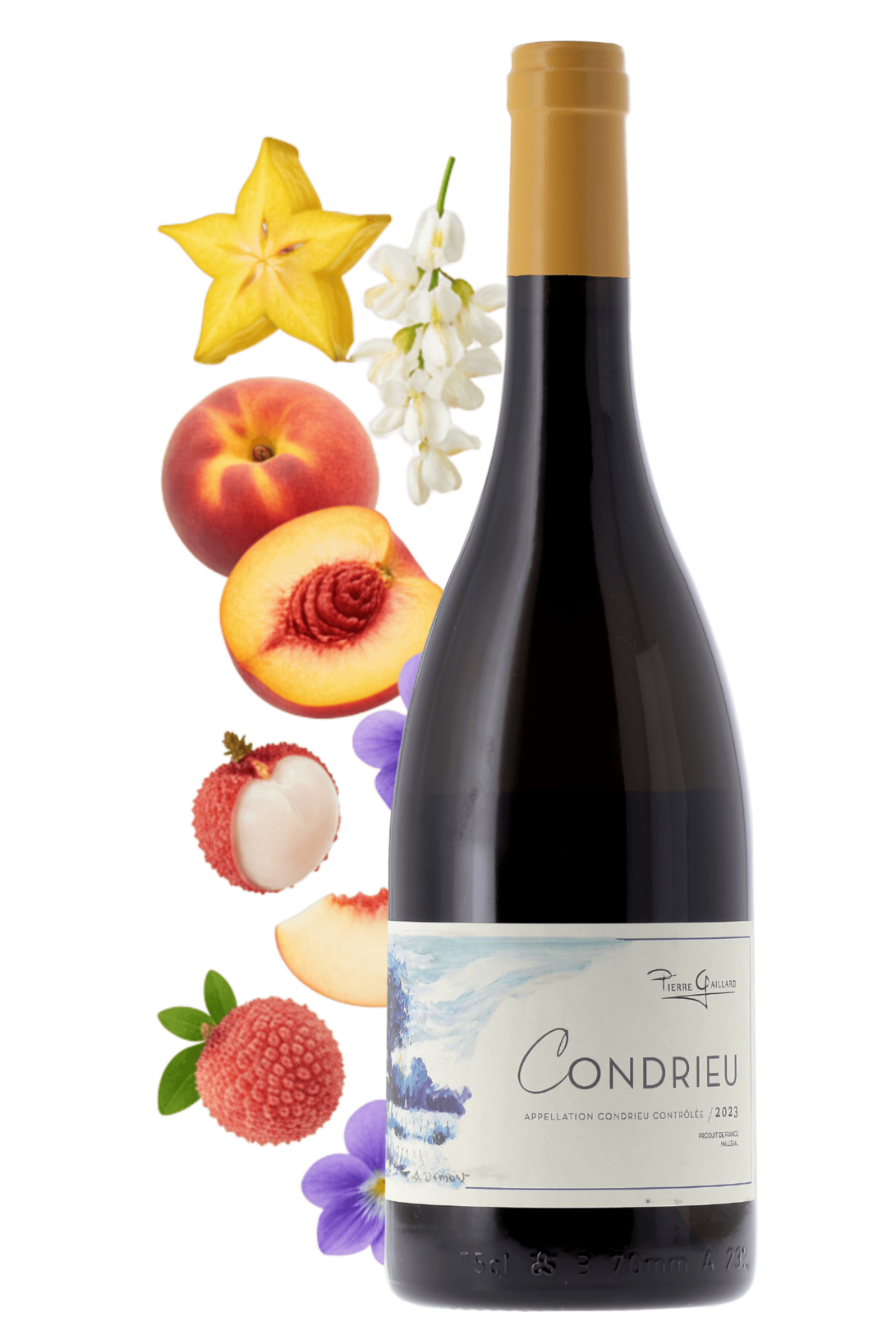 Condrieu Domaine Pierre Gaillard 2023 - frontbs