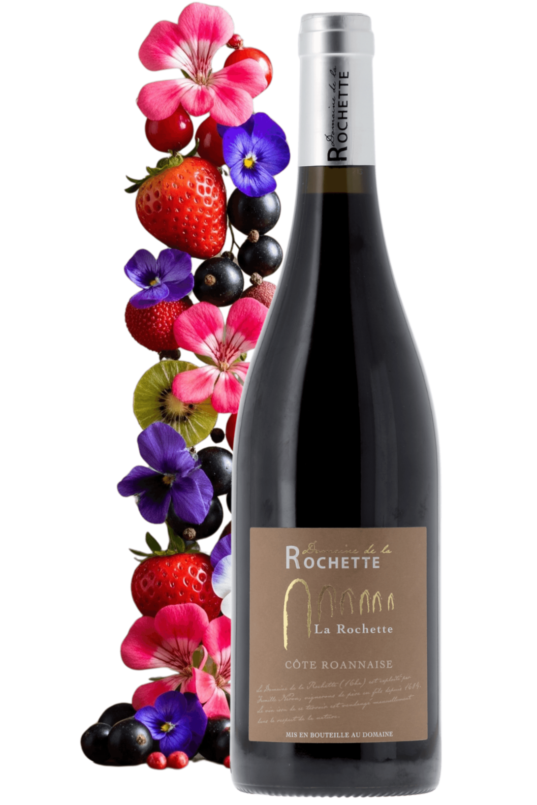 Côte Roannaise La Rochette Domaine de la Rochette 2022 - frontbs