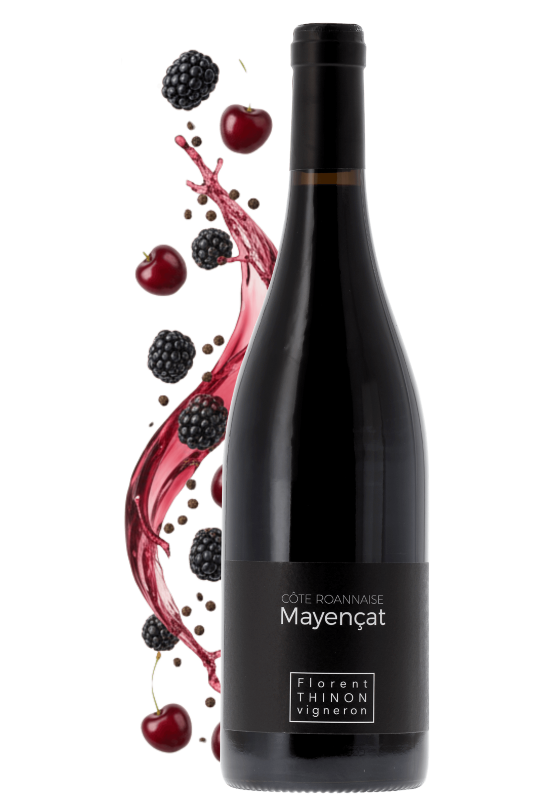 Côte Roannaise Mayençat Domaine Florent Thinon 2023 - frontbs