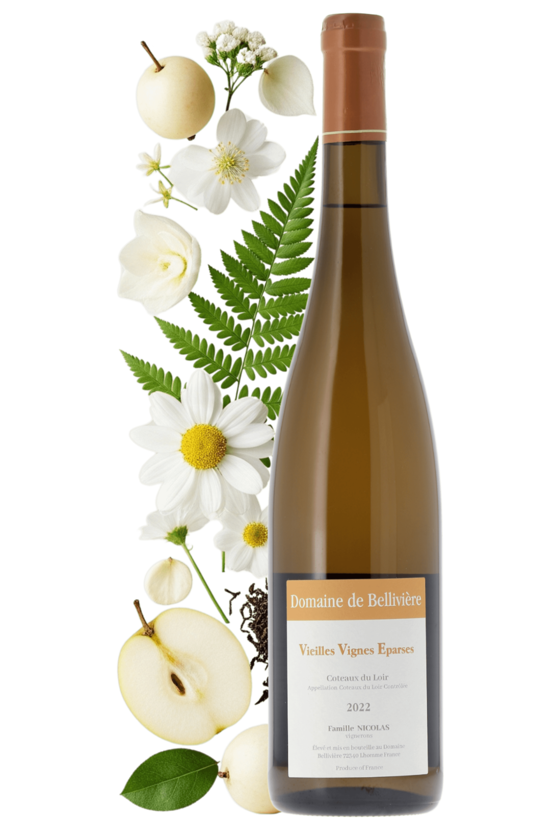 Coteaux du Loir Vieilles Vignes Eparses Domaine de Bellivière 2022 - frontbs