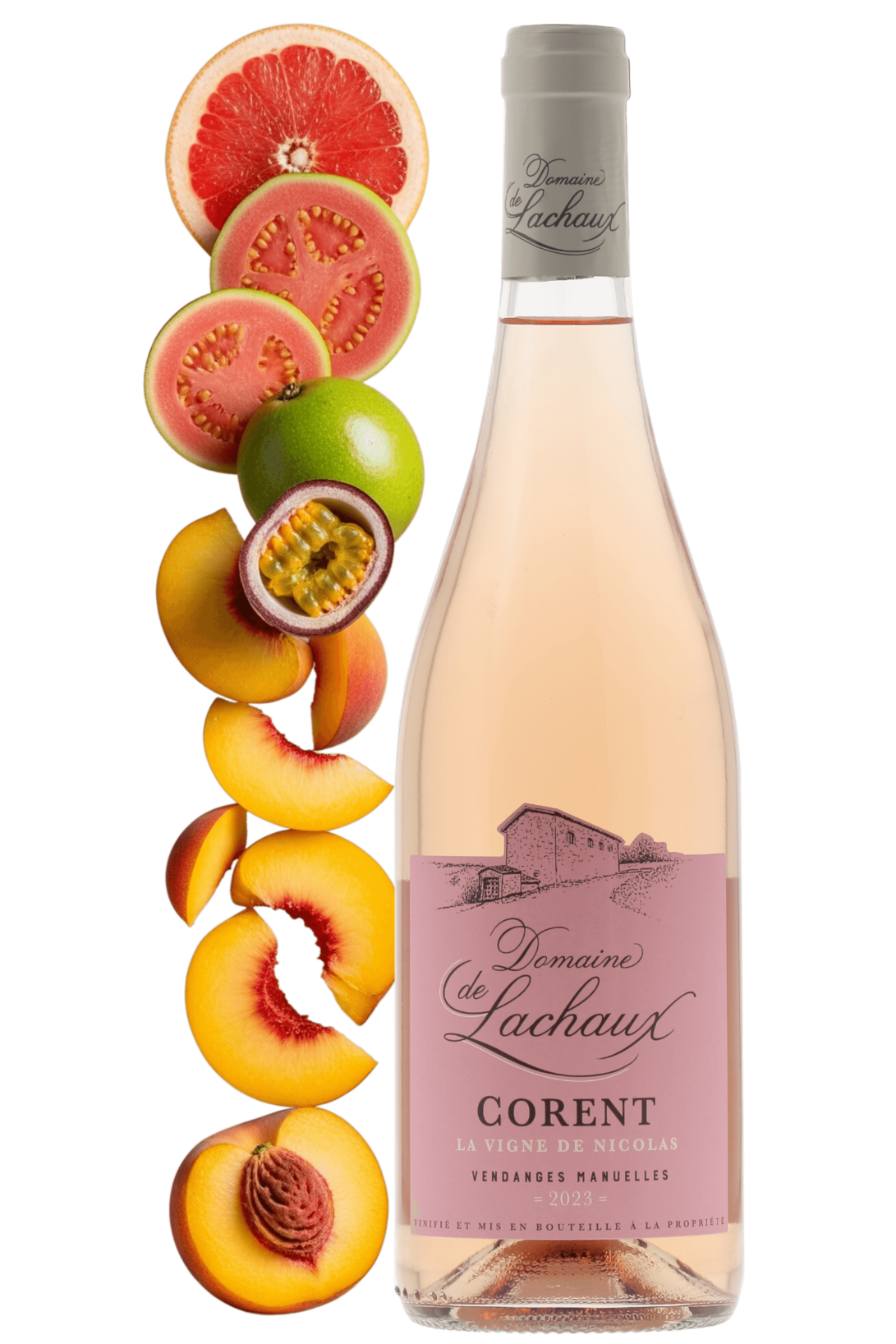 Côtes d'Auvergne Corent Domaine de Lachaux 2023 - frontbs