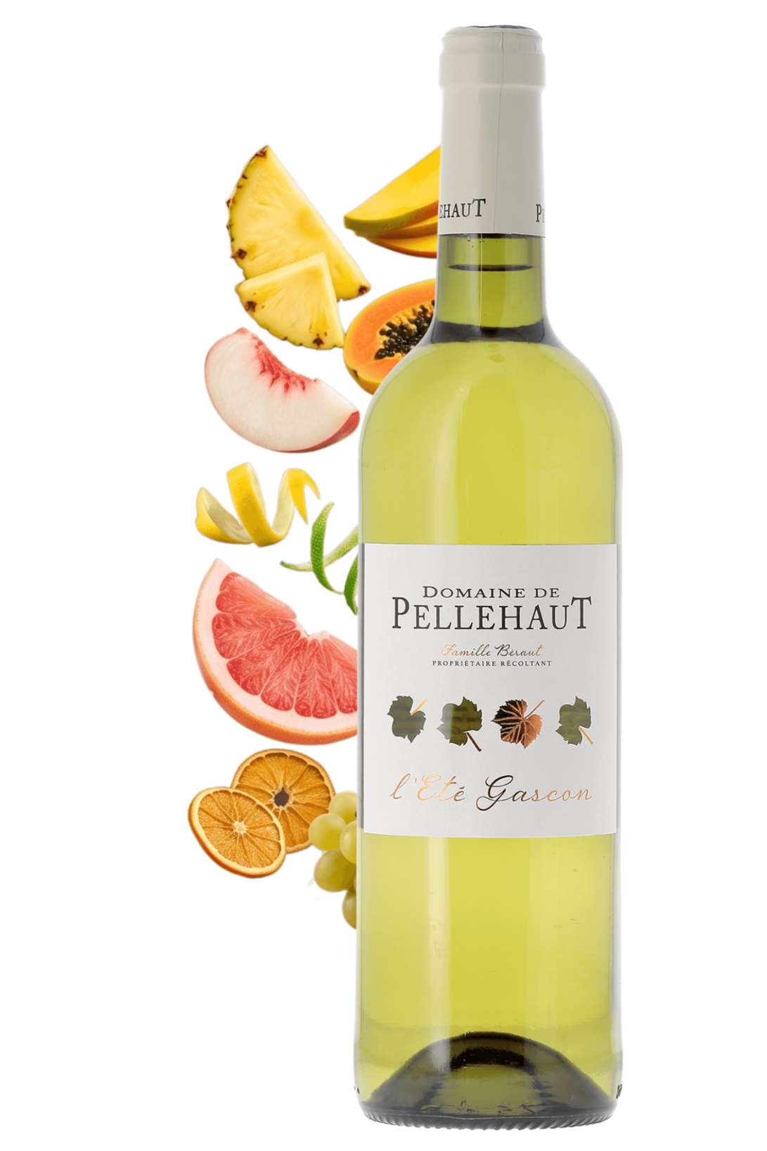 Côtes de Gascogne L'Eté Gascon Domaine de Pellehaut 2025 - frontbs