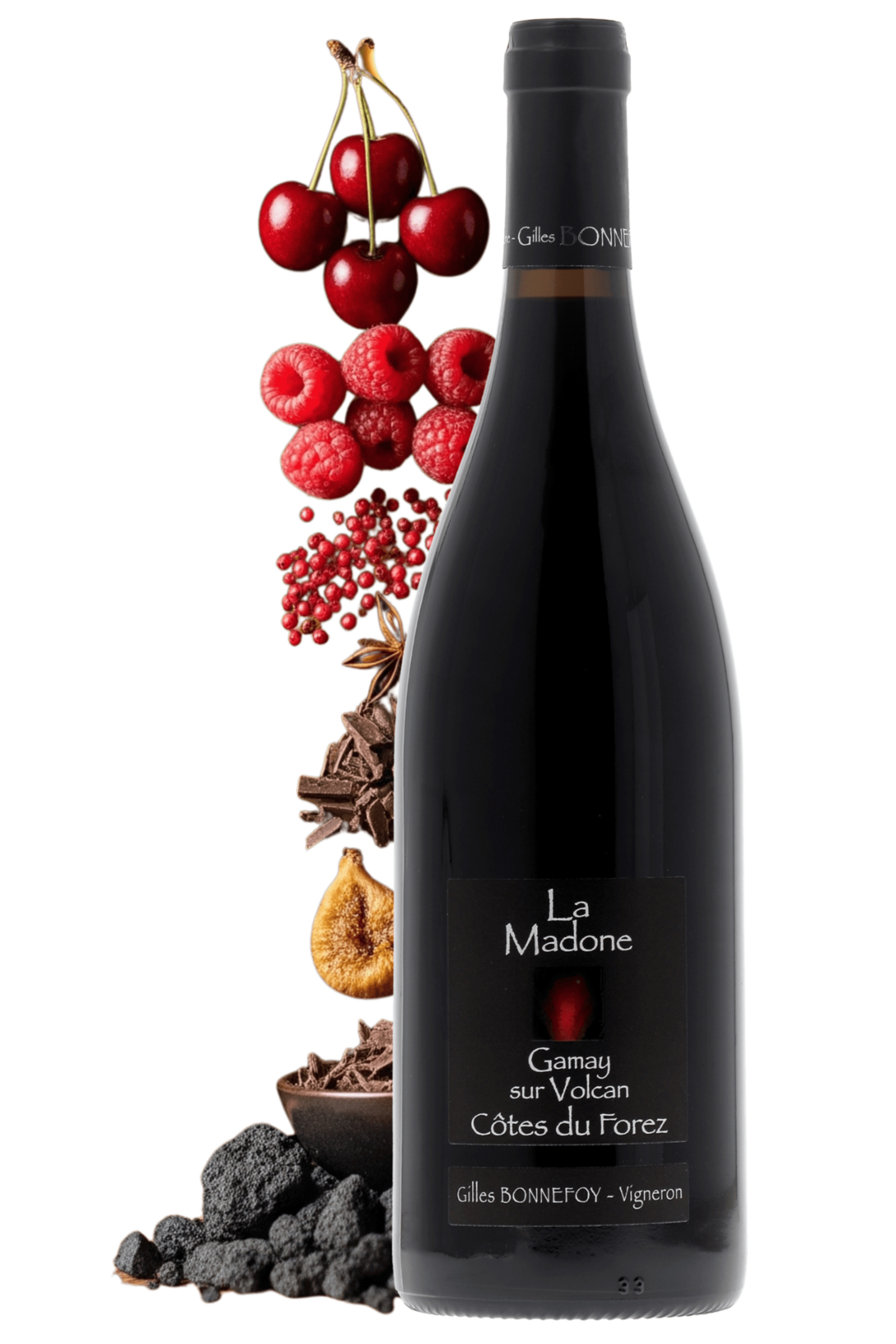 Côtes du Forez La Madone Les Vins de la Madone 2024 - frontbs