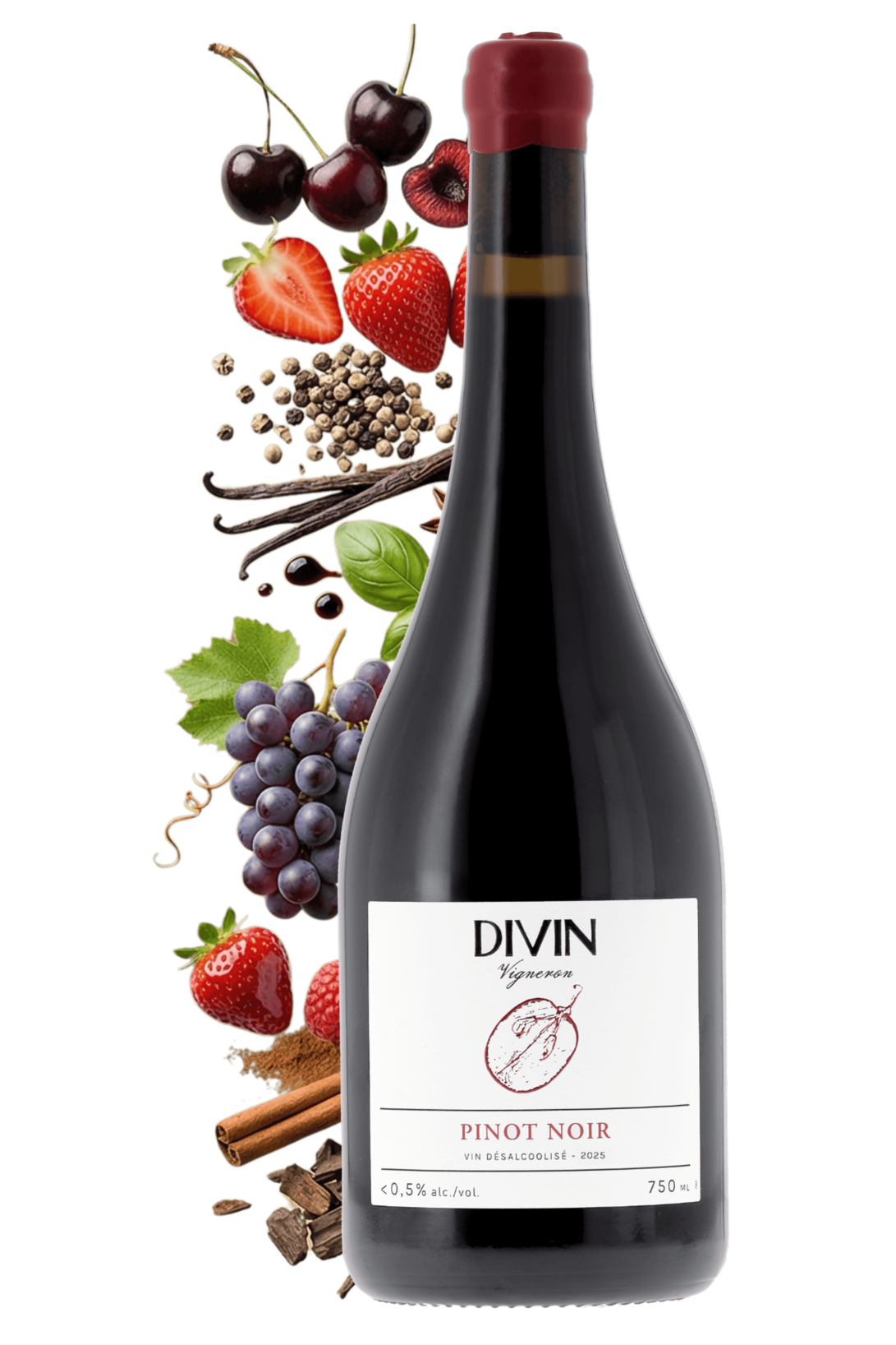 Divin Vigneron Pinot noir Divin 2025 - frontbs