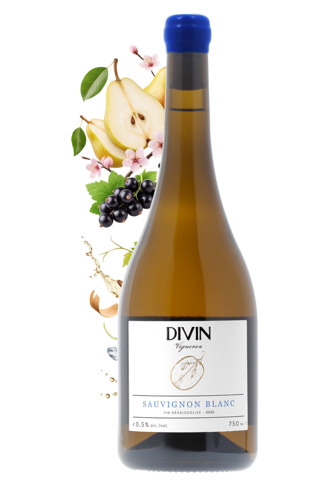 VIN DESALCOOLISE LOIRE Divin 2025 - frontbs