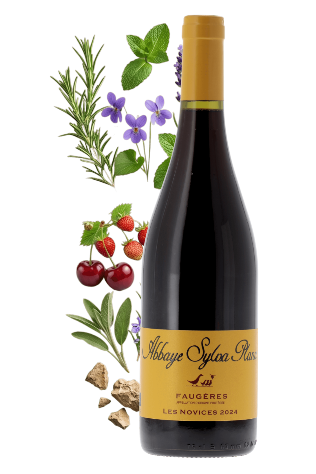 Faugères Les Novices Abbaye Sylva Plana 2024 - frontbs