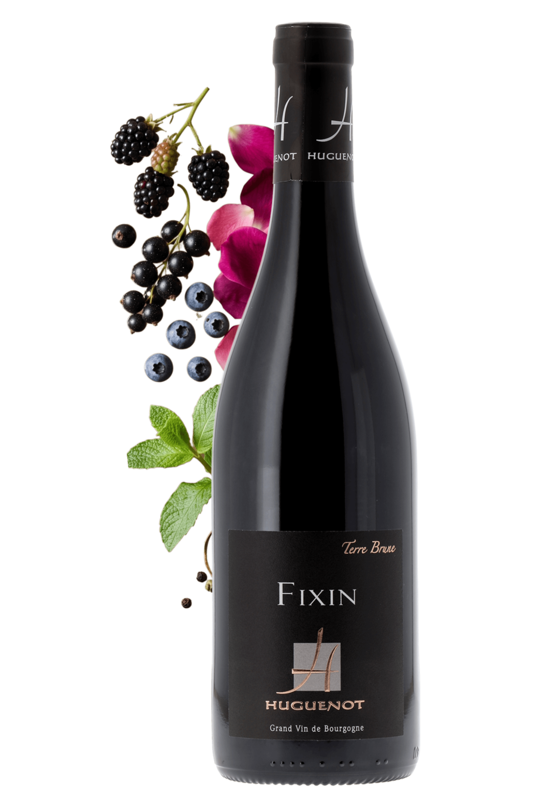 Fixin Terre Brune Domaine Huguenot 2023 - frontbs