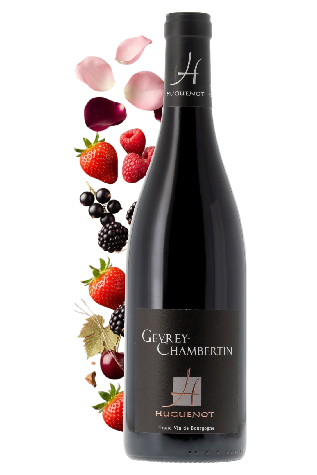 Gevrey-Chambertin Domaine Huguenot 2021 - frontbs