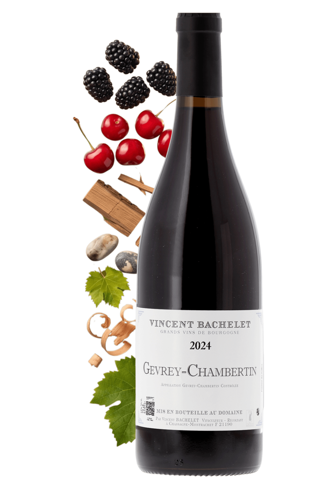 Gevrey-Chambertin Domaine Vincent Bachelet 2024 - frontbs