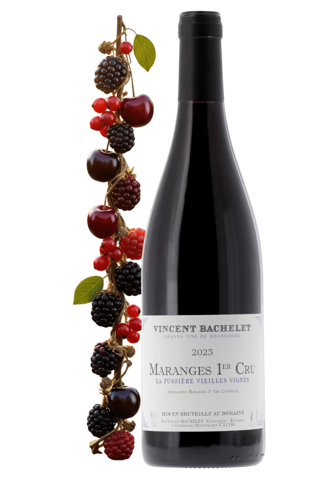 Maranges Premier Cru La Fussière Domaine Vincent Bachelet 2023 - frontbs