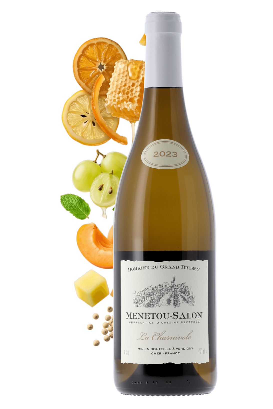 Menetou-Salon La Charnivole Domaine du Grand Brussy 2023 - frontbs