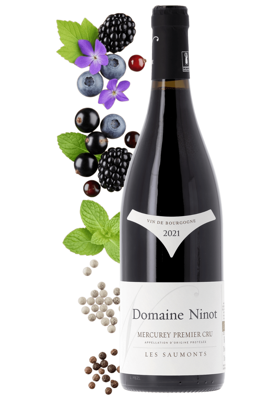 Mercurey Premier Cru Les Saumonts Domaine Ninot 2021 - frontbs