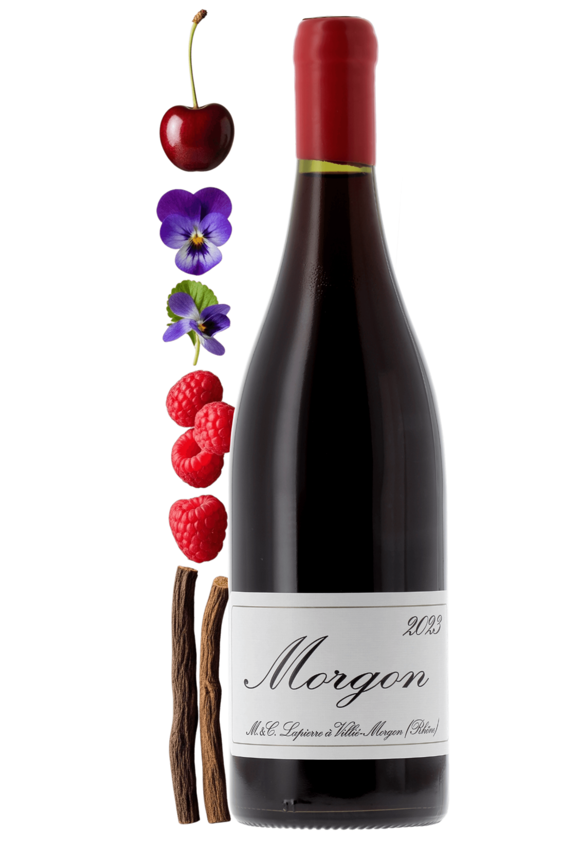 Morgon Domaine Marcel Lapierre 2023 - frontbs
