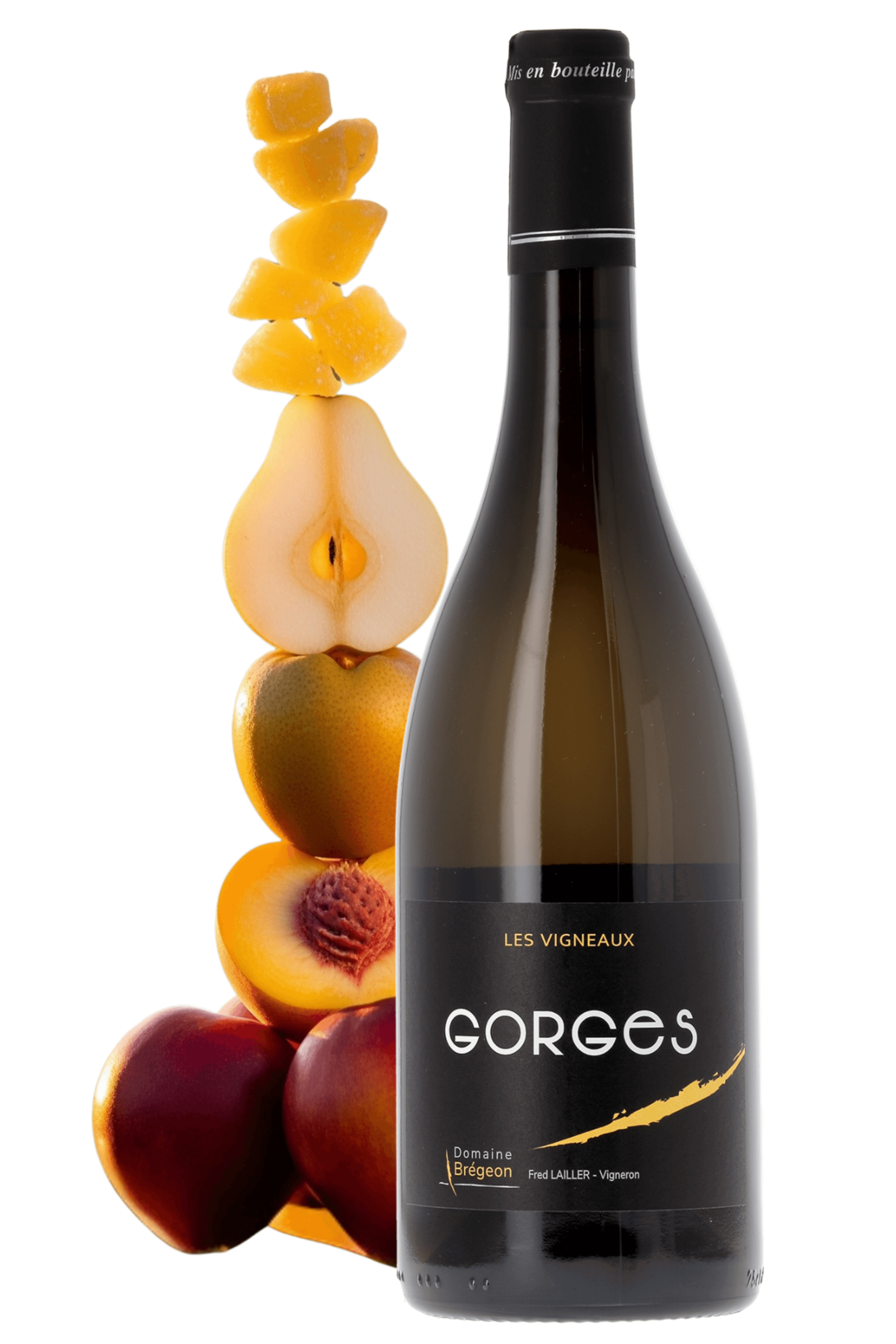 Muscadet Sèvre et Maine Gorges Les Vigneaux Domaine Brégeon 2020 - frontbs